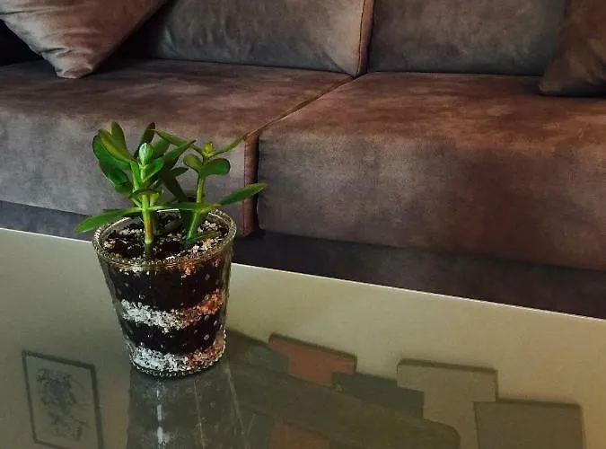 Appartement Enzamorarte